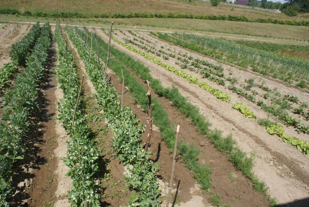 Agrodomki Okej -Dom Kasjan Gardna Wielka Exterior photo